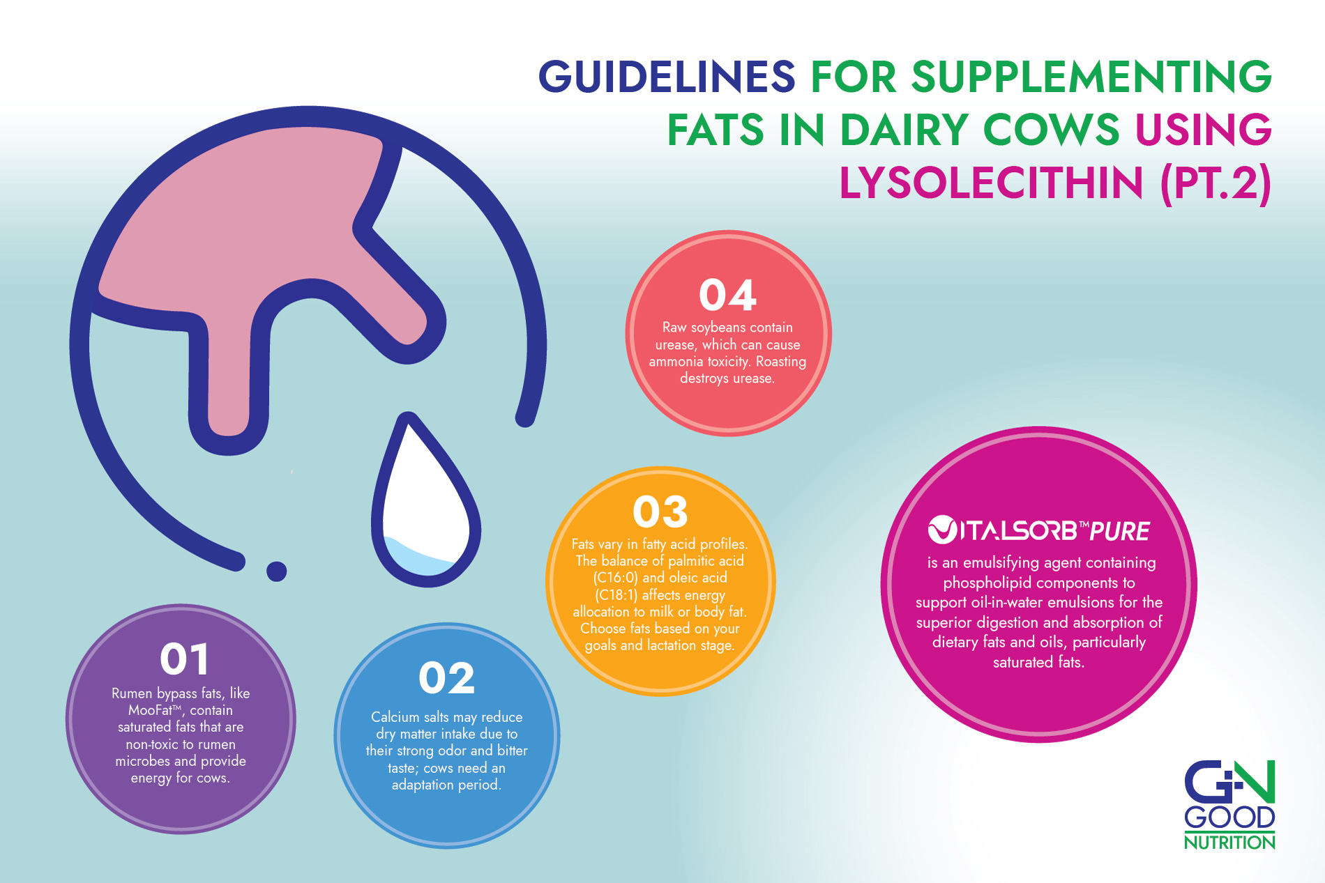 Guidelines for supplementing fats in dairy cows using lysolecithin from GN Good Nutrition