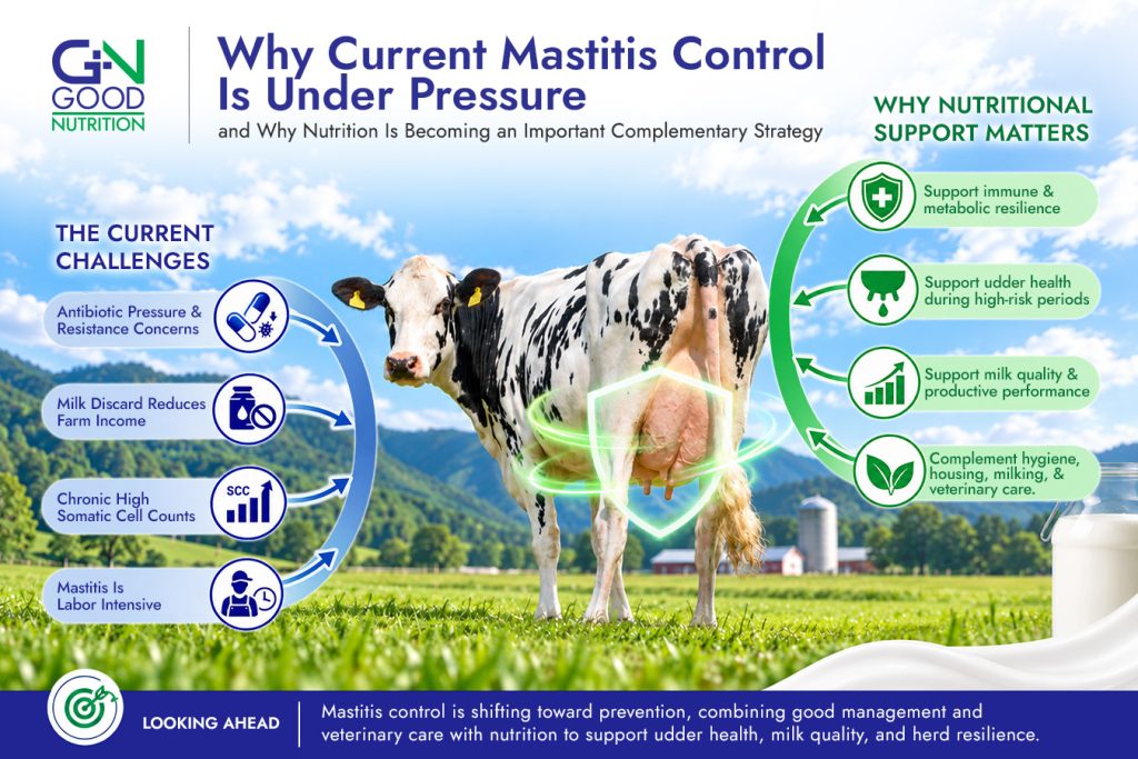 Mastitis Control Under Pressure