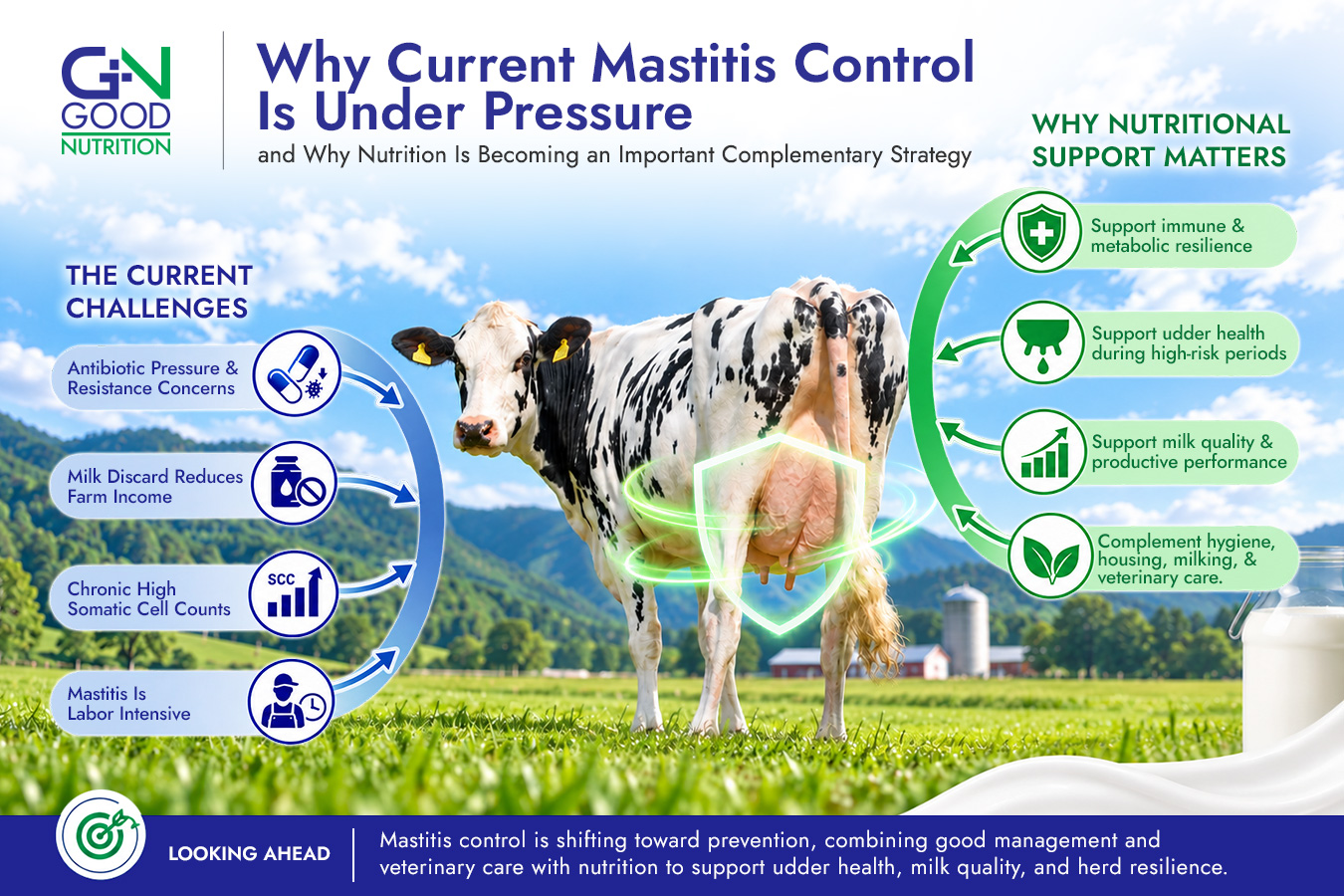 Mastitis Control Under Pressure