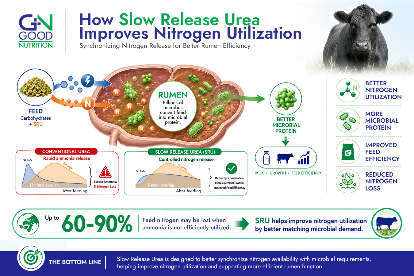 SRU-Nitrogen-Utilization