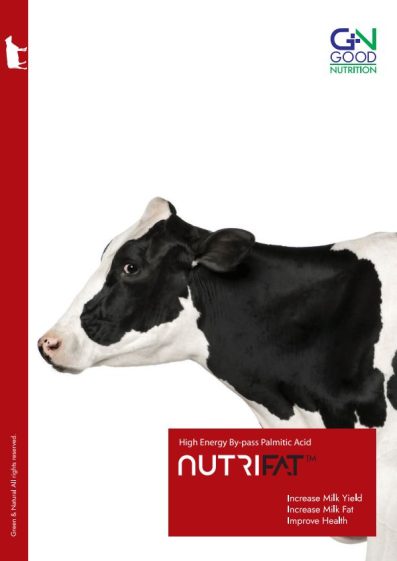 Nutrifat By-pass Palmitic Acid