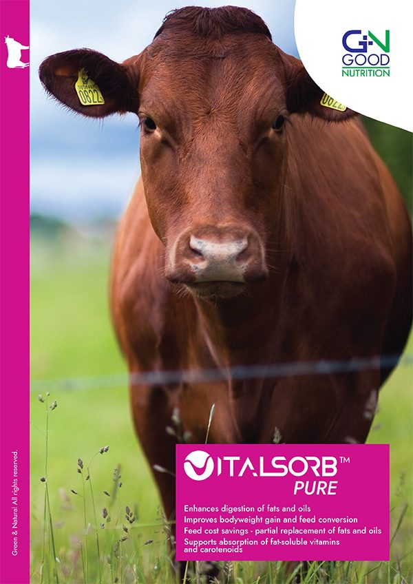 MOOFAT – Increase Milk Production - GN Good Nutrition