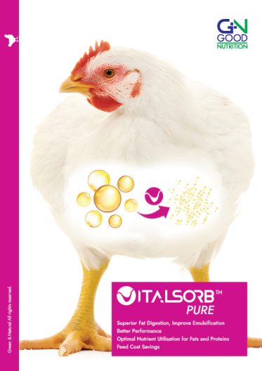 Vitalsorb Pure for Poultry