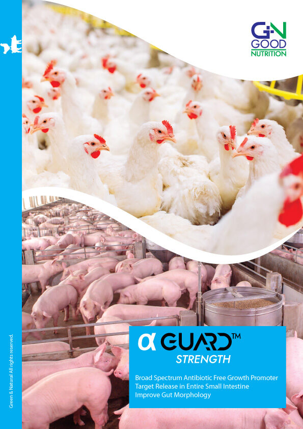 α-GUARD SAFE, SHIELD & STRENGTH - Antibiotic Growth Promoters Replacers ...