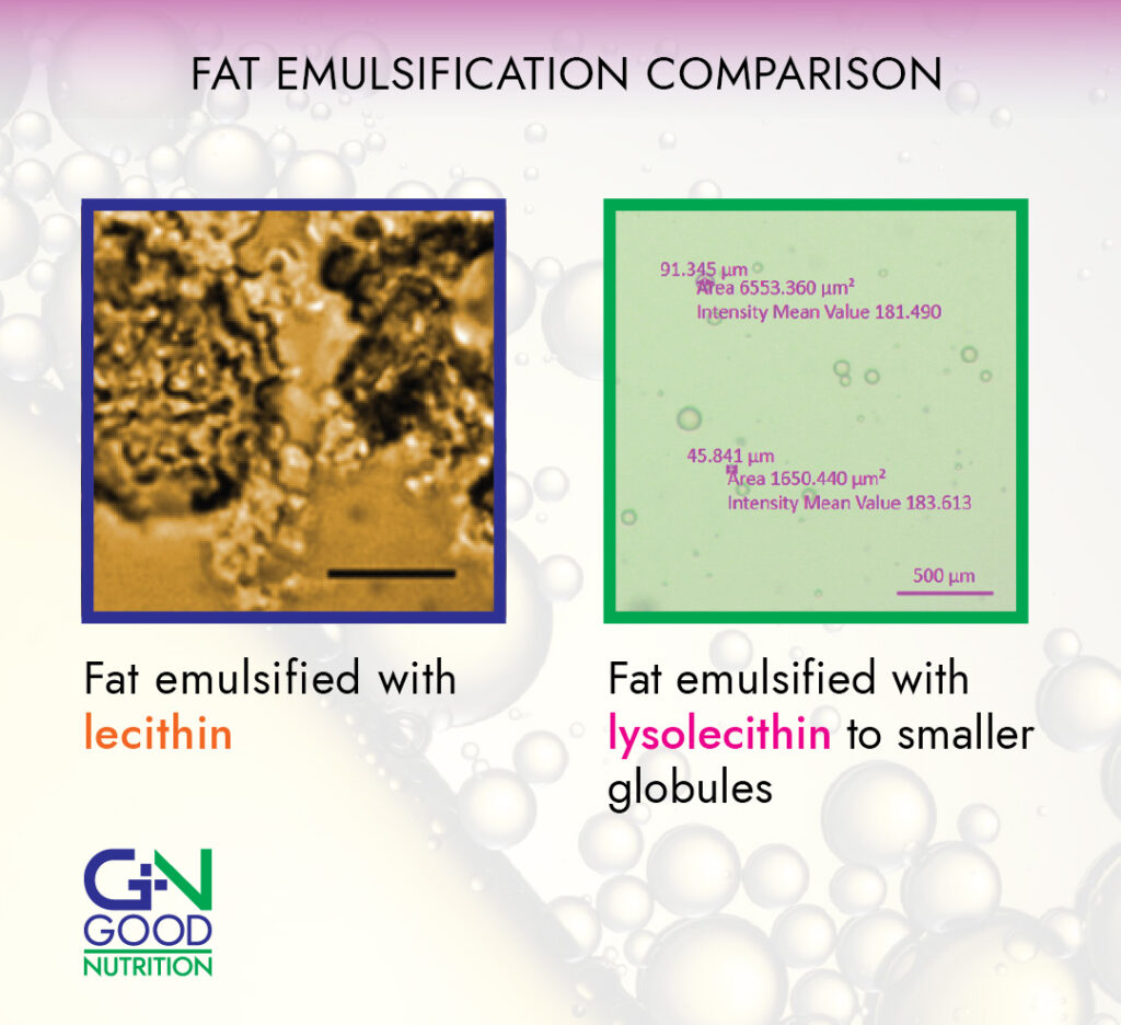 Emulsification of lecithin vs emulsification lysolecithins in livestock and aqua