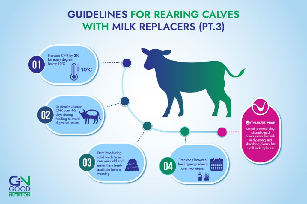 Guidelines for rearing calves with milk replacers using lysolecithin from GN Good Nutrition.