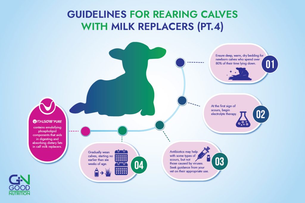 Guidelines for rearing calves with milk replacers using lysolecithin from GN Good Nutrition.